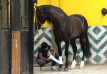 00galeria Historia10